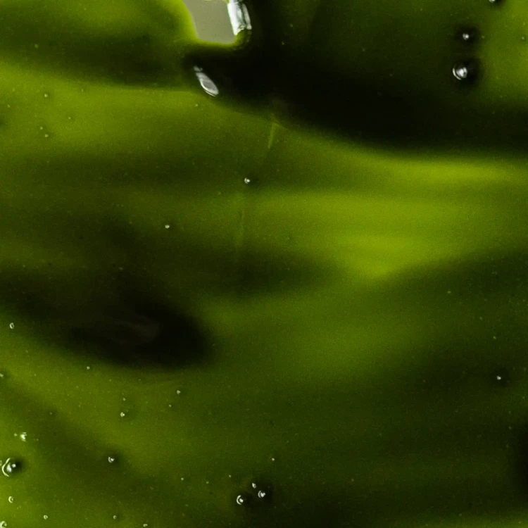 olej-matcha-z-bliska-3.webp