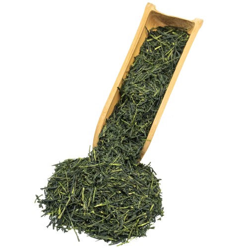 sencha_michiko_2026.jpg