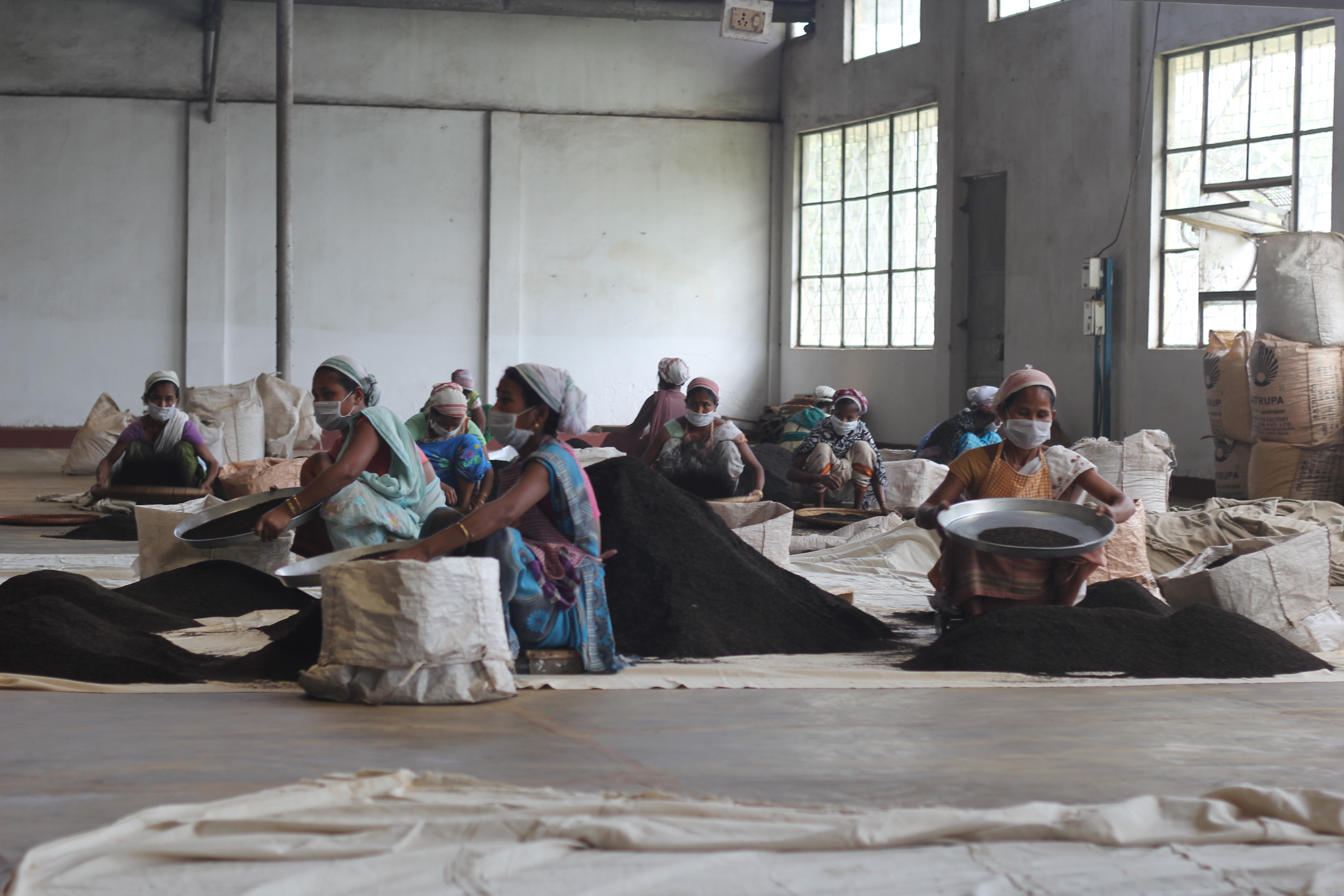 Fabryka herbaty czarnej Satrupa, Assam, Indie