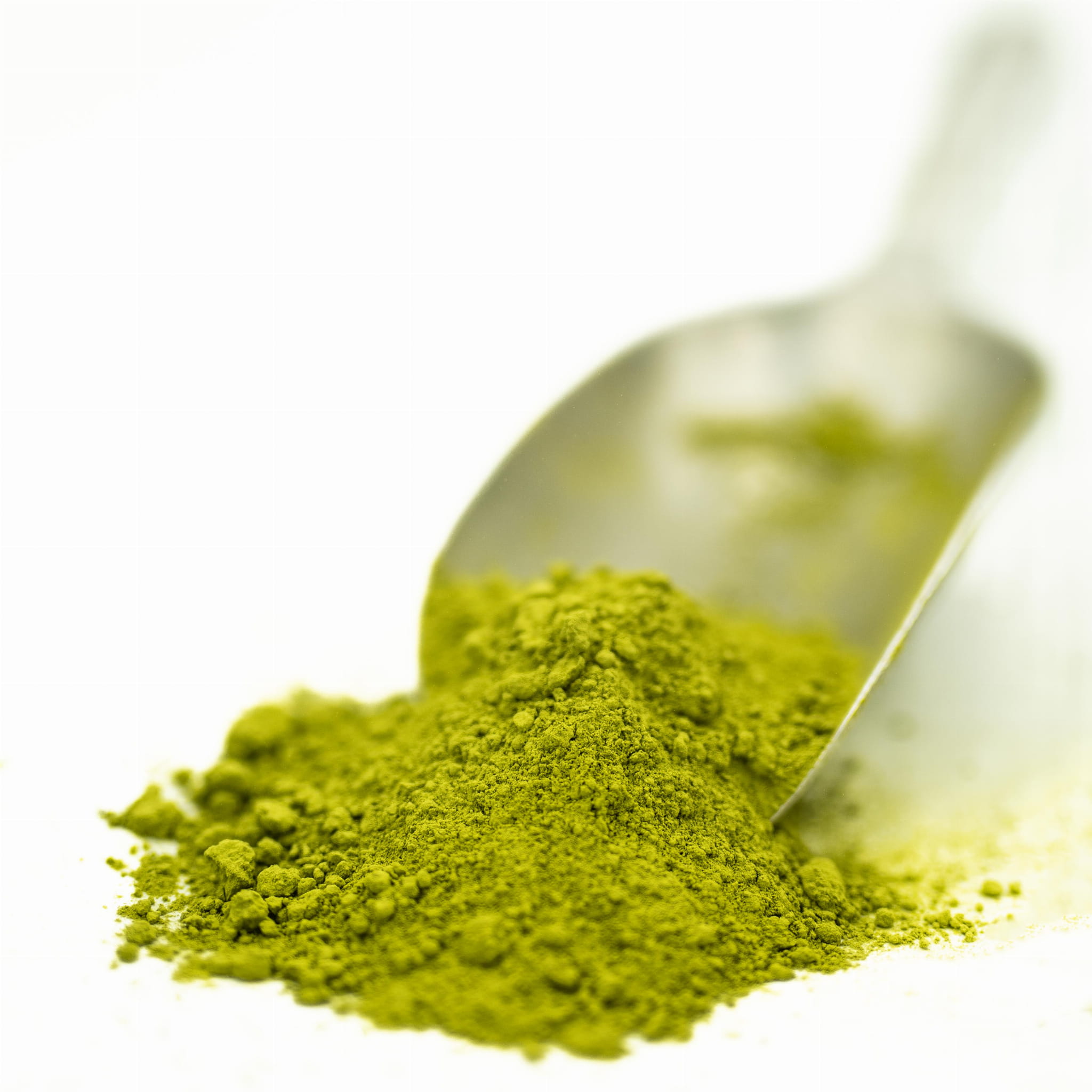 Matcha Codzienna Uji Kyoto 2025